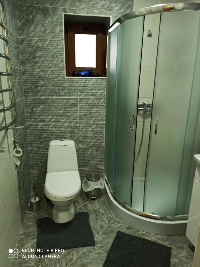 Brand New 2020 Specious Apartment Druzi 2 Palyanytsya Luaran gambar