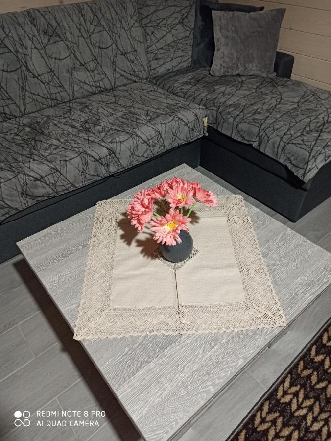 Brand New 2020 Specious Apartment Druzi 2 Palyanytsya Luaran gambar